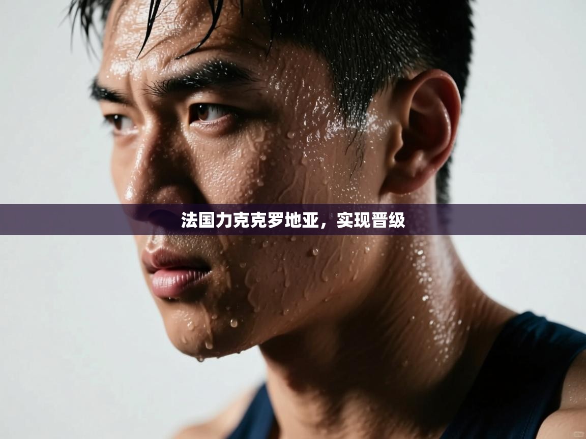 法国力克克罗地亚，实现晋级