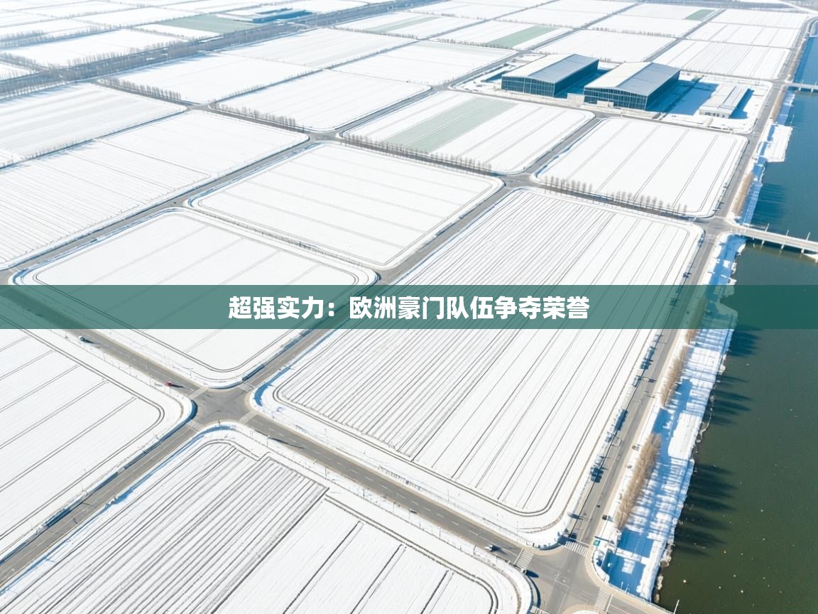 超强实力:欧洲豪门队伍争夺荣誉 第2张